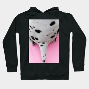 Dalmatian dog tail Hoodie